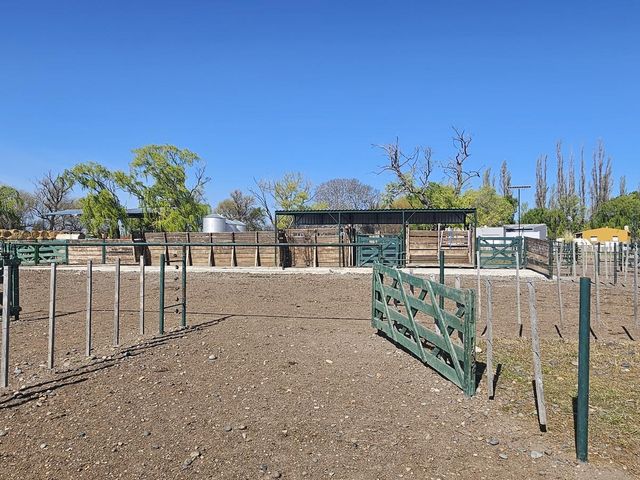 place photo 45