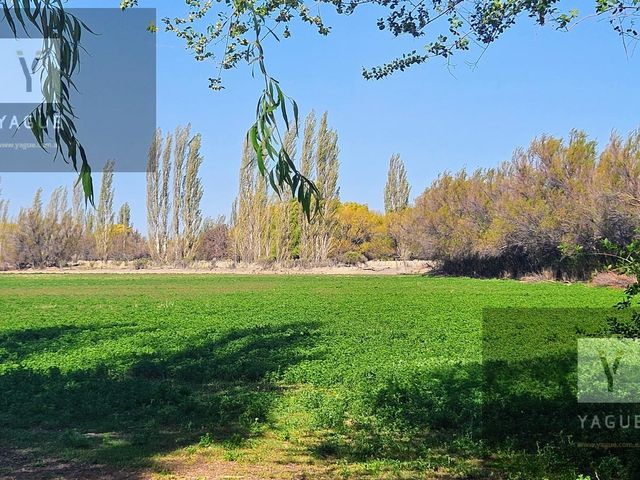 place photo 62