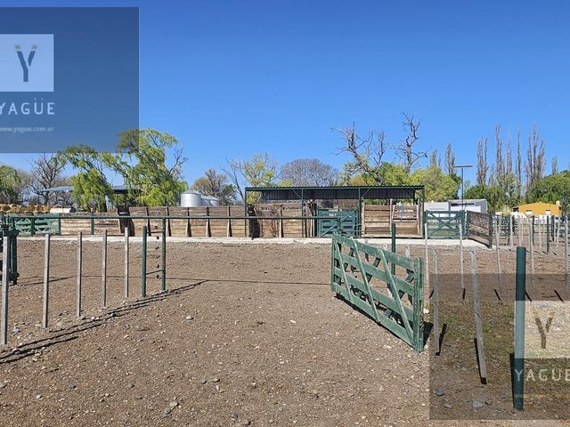 place photo 45