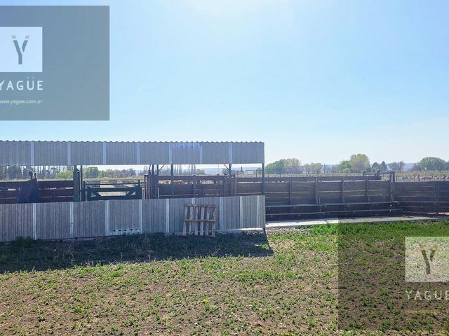 place photo 32