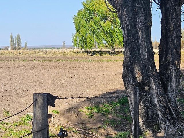 place photo 56