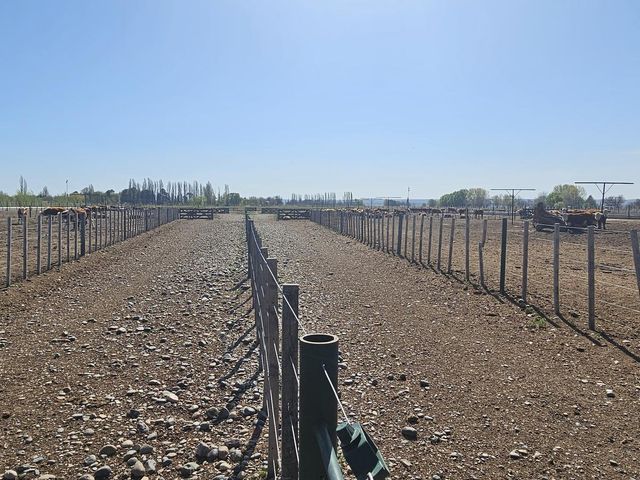 place photo 46