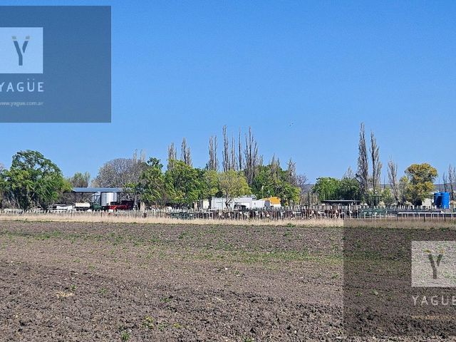 place photo 61