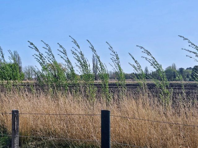 place photo 49