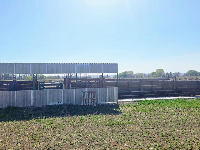 place photo 32