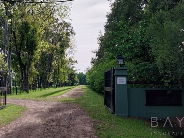 place photo 8