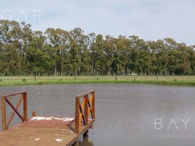place photo 81