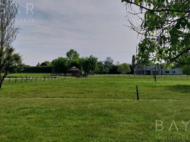place photo 83