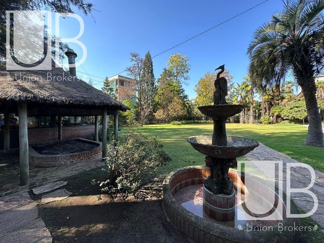 place photo 50