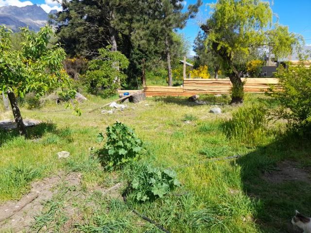 place photo 12