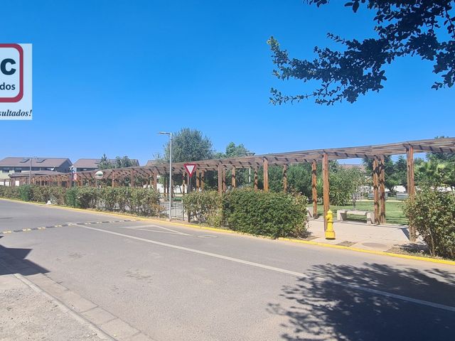 place photo 26