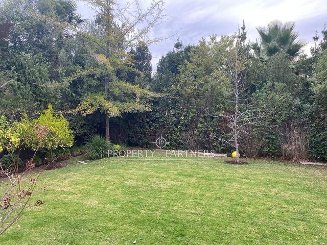 place photo 38