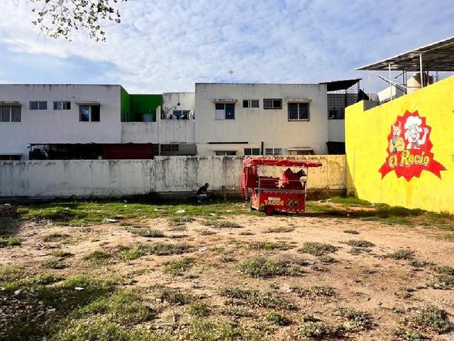 place photo 10