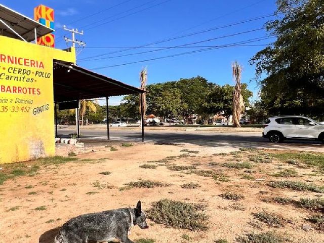 place photo 12
