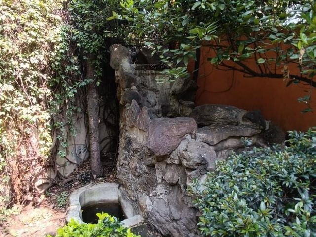 place photo 37