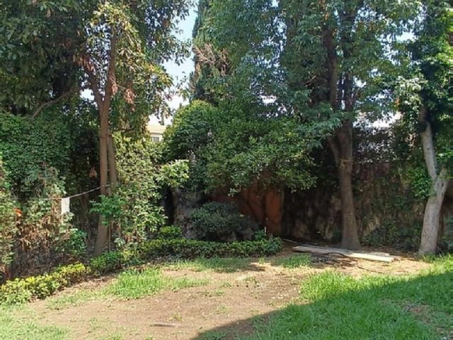 place photo 40