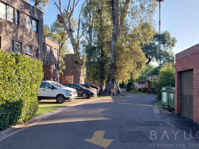 place photo 27