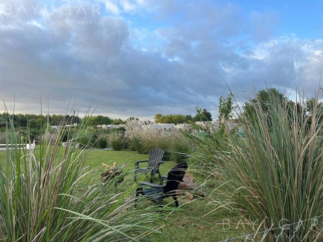 place photo 29