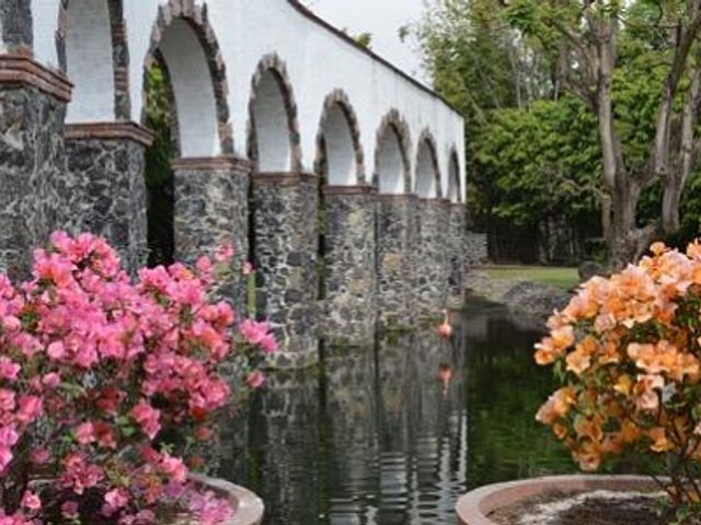 place photo 36