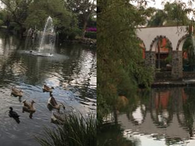 place photo 35
