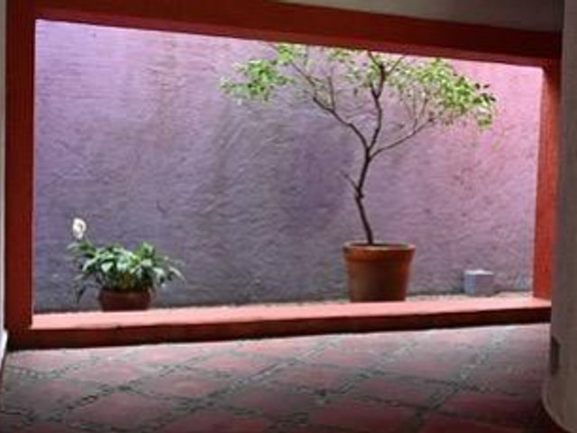 place photo 48
