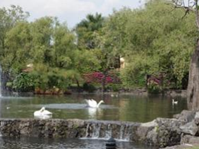 place photo 34