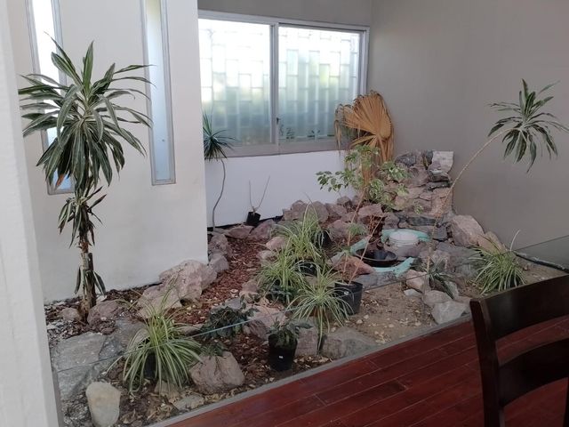 place photo 39