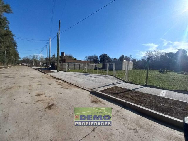 place photo 26