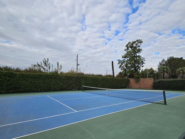 place photo 31