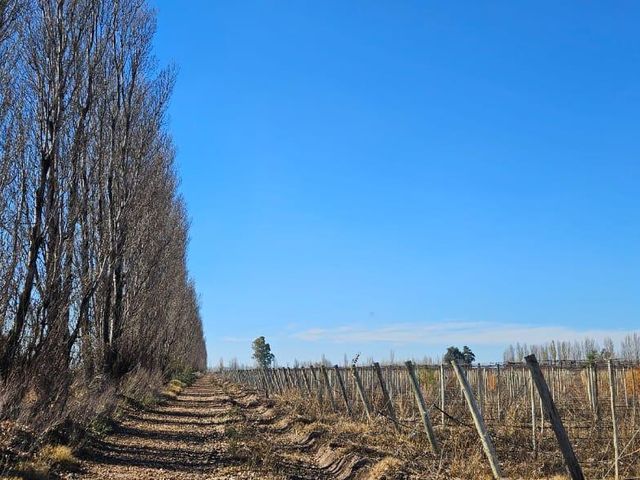 place photo 31