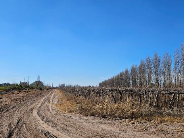 place photo 40