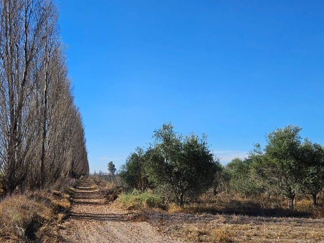 place photo 32
