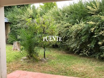 place photo 20