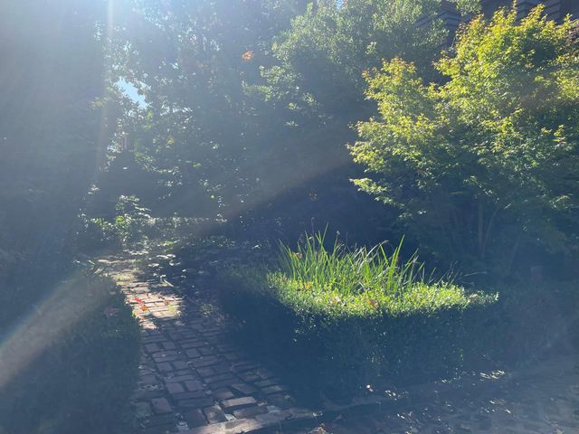 place photo 38