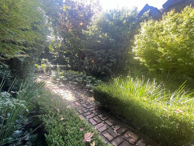 place photo 39