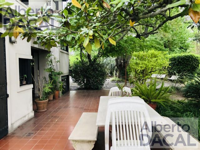 place photo 49