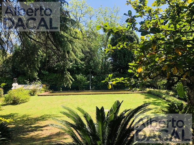 place photo 47