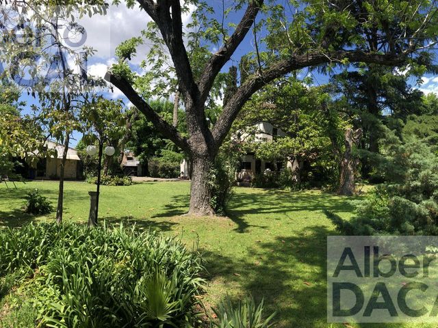 place photo 52