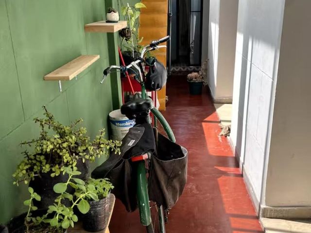 place photo 12