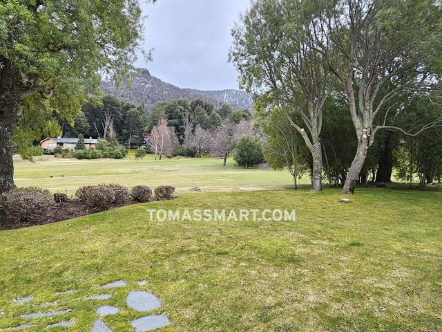 place photo 29