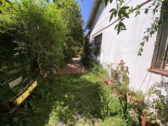 place photo 47
