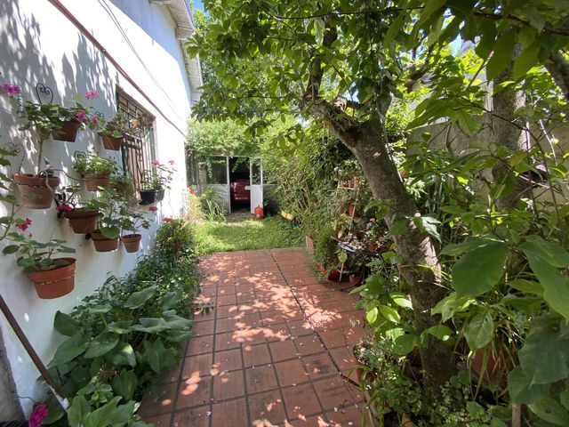 place photo 46