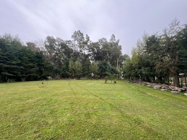 place photo 53