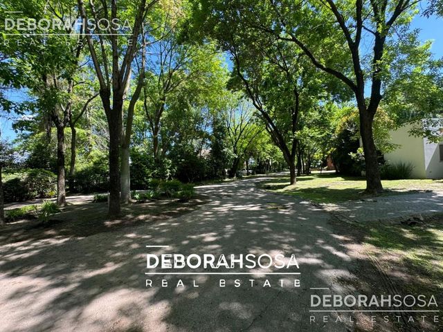 place photo 62