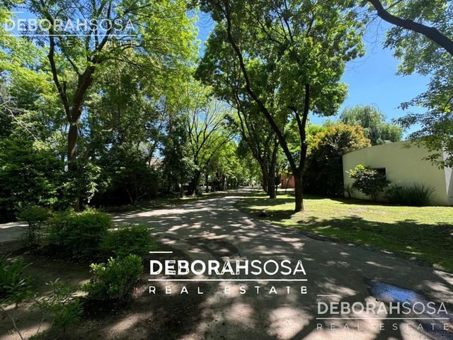 place photo 58