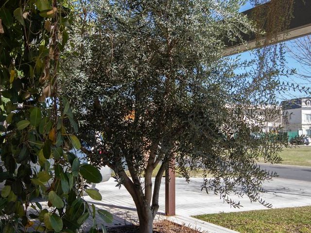 place photo 69