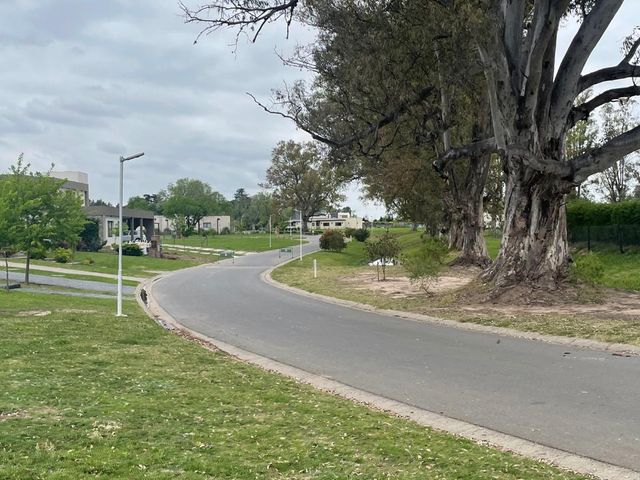 place photo 31
