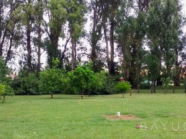 place photo 8