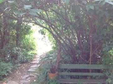place photo 26