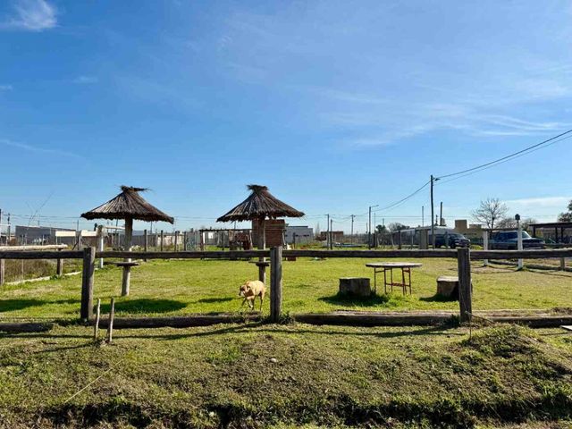 place photo 13